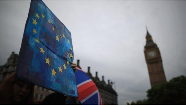 image of person holding up European flag